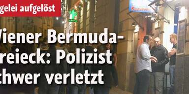 Polizist von Raufbold schwer verletzt
