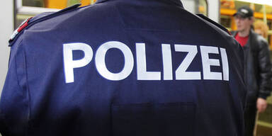 Virus mit Logo der österreichischen Polizei