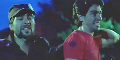 Österreichische Rechtsruck-Vision