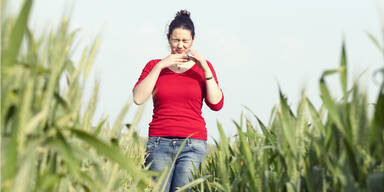 Alle Fakten zur Pollenallergie