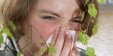 Die ersten Pollen fliegen bereits