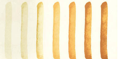 EU verbietet zu dunkle Pommes Frites