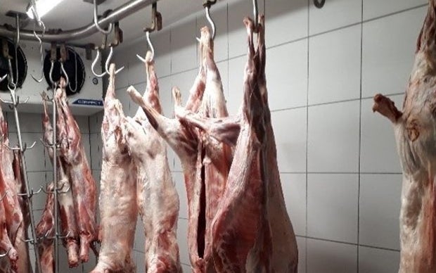 Finanzpolizei macht illegales Araber-Hotel dicht