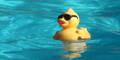 pool_ente_sxc_pt