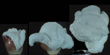 Ultra-Zeitlupen-Video zeigt, wie Popcorn aufpoppt