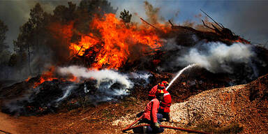 Waldbrand in Portugal