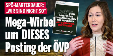 Mega-Wirbel um Integrations-Posting der ÖVP