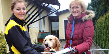 Postler bekommen Leckerlis f&uuml;r Hunde