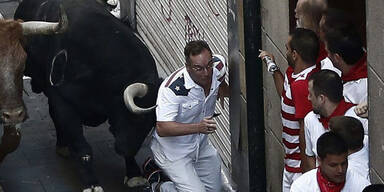 Touristen von Stieren aufgespießt 