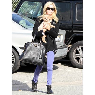 Auf den Hund gekommen