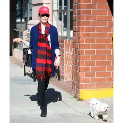 Auf den Hund gekommen