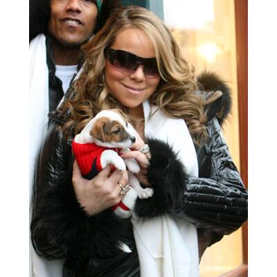 Auf den Hund gekommen