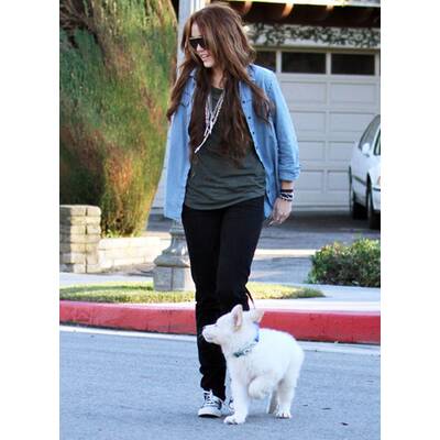 Auf den Hund gekommen