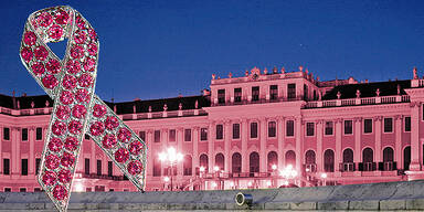 Pink Ribbon Night 2010, Schönbrunn