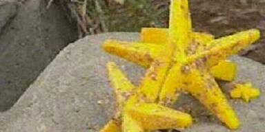 Mausi zieht für die Quoten alle Register