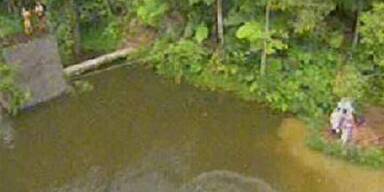 Silikon im Dschungel? Keine gute Idee!