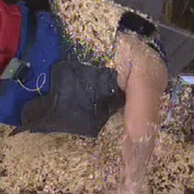 Die 1. Dschungelprüfung