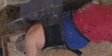 Gelungene Urwald-Premiere für Mausi