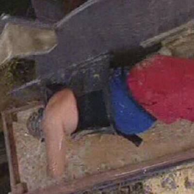 Die 1. Dschungelprüfung