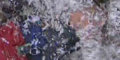 Gelungene Urwald-Premiere für Mausi