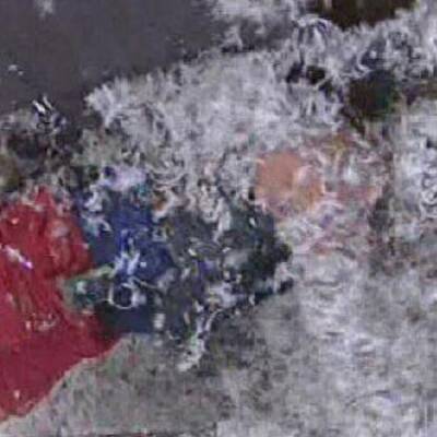 Die 1. Dschungelprüfung