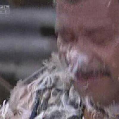 Die 1. Dschungelprüfung