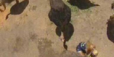 Tränen bei Mausi nach Horrornacht