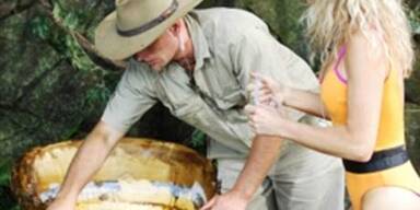 40.000 Kakerlaken für Gundis