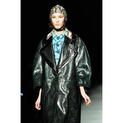 Schlangenprint - Welcome to the Jungle