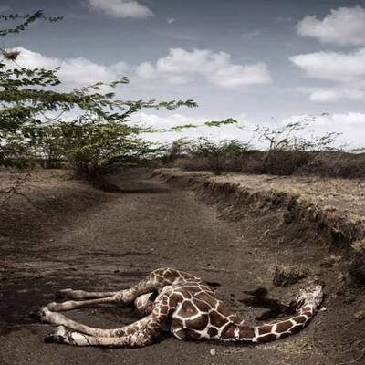 Die besten Pressefotos 2009