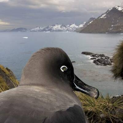 Die besten Pressefotos 2009