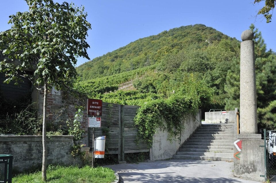 Leopoldsberg
