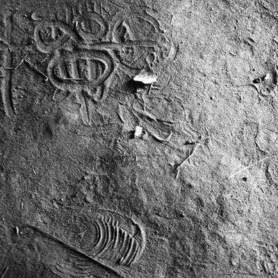 Die besten Pressefotos