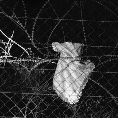 Die besten Pressefotos