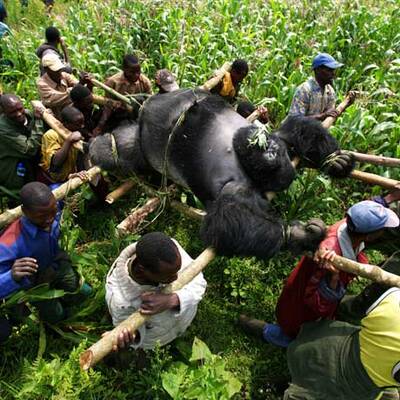 Die besten Pressefotos