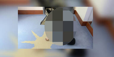 Polizei zeigt Leiche von Pop-Star Prince