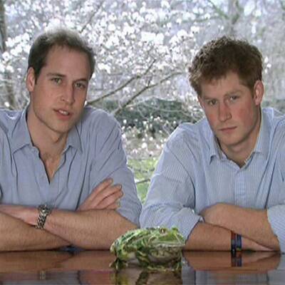 Promis setzten sich für Frosch ein