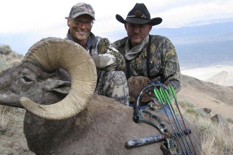 Löwen-Killer tötet seltenes Wildschaf