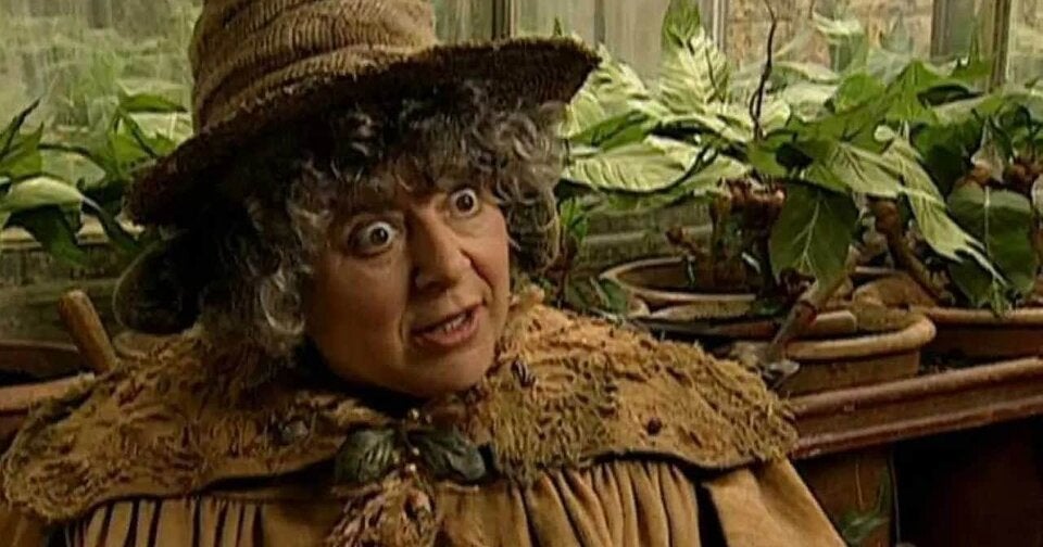Miriam Margolyes 