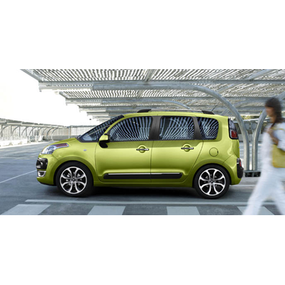 Überblick über die beliebtesten heimischen Vans