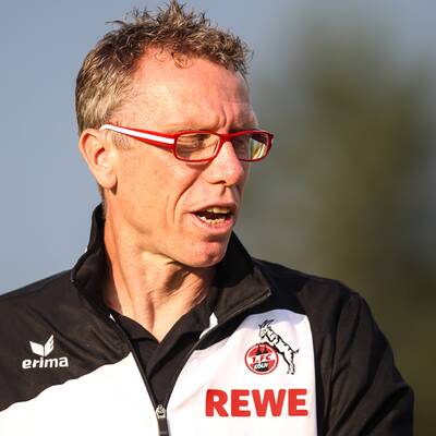 Peter Simonischek, Schauspieler 