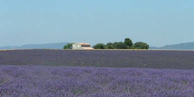 Die buntesten Reiseziele