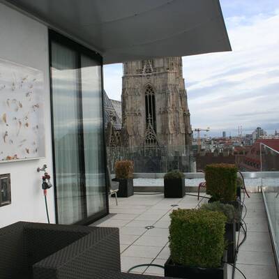 Atemberaubende Location