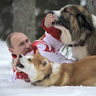 Putin kuschelt mit Hunden im Schnee