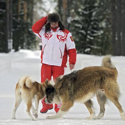 Putin kuschelt mit Hunden im Schnee