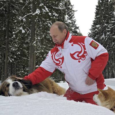 Putin kuschelt mit Hunden im Schnee