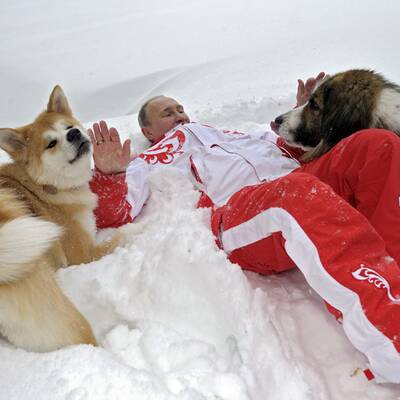 Putin kuschelt mit Hunden im Schnee