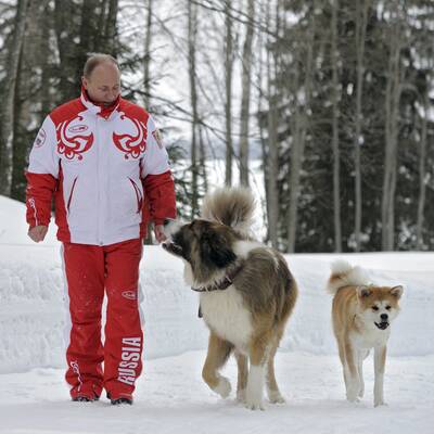 Putin kuschelt mit Hunden im Schnee