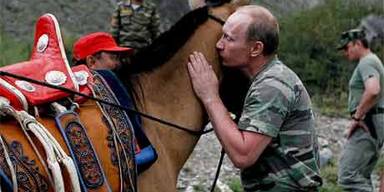 Putin wird zum Pferdeflüsterer