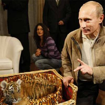 Putin erhält Sibirischen Tiger zum Geburtstag